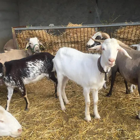 Reul Alto Cortijos Rurales Casa rural *