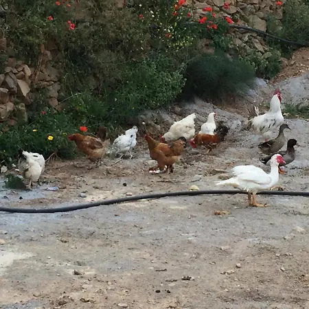 Reul Alto Cortijos Rurales Casa rural *