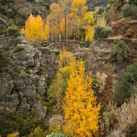 Reul Alto Cortijos Rurales