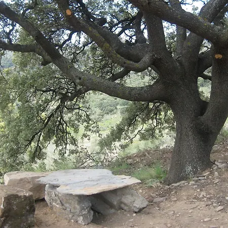 Reul Alto Cortijos Rurales